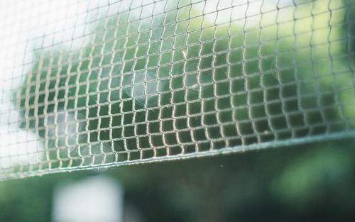 13.实际上，已经预料到许多事情将从一开始就结束，所有随后的抛掷只是为了延迟结束时间。