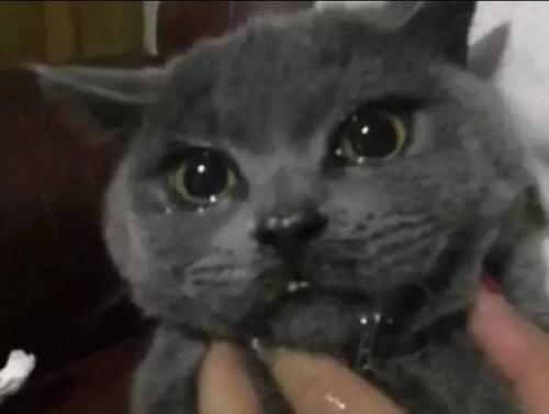 10.回忆束缚着我们的时间，时间撕裂了我们的记忆。