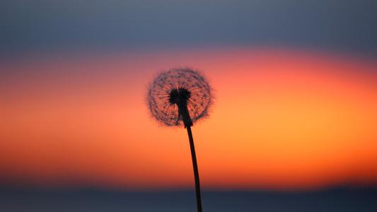 10.遇到困难时，女人越坚强，女人就越受人尊敬和痛苦。坚强的女人可以用钥匙解锁幸福的锁。她还将找到肩膀让眼泪流淌。爱与伤害，哭与笑。然后继续坚强。