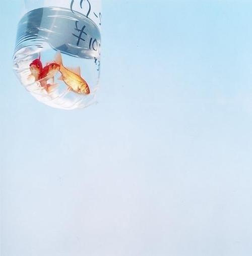 11.我喜欢独自冲泡一杯香茶，安静地坐在办公桌前，理清自己的想法。