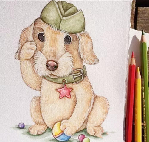 有趣的句子让人发笑