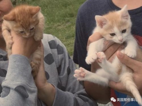 11.幸福是一管结实的胶水，可以粘合所有的悲伤。 smile是一种混合均匀的涂料，仅需一支刷子即可成为崭新的涂料。记住要使用微笑的油漆和快乐的胶水来装饰您的生活，快乐地过每一天！