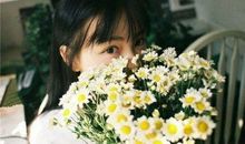 致朋友励志感恩的句子英文句子