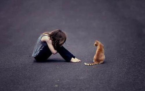 10.在你所有的谎言中，“我爱你”是我最喜欢的谎言。