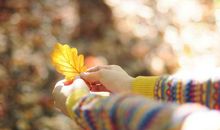 表达做人要开心的句子