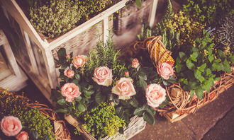 12.在新的一年里改革春风和整个春天