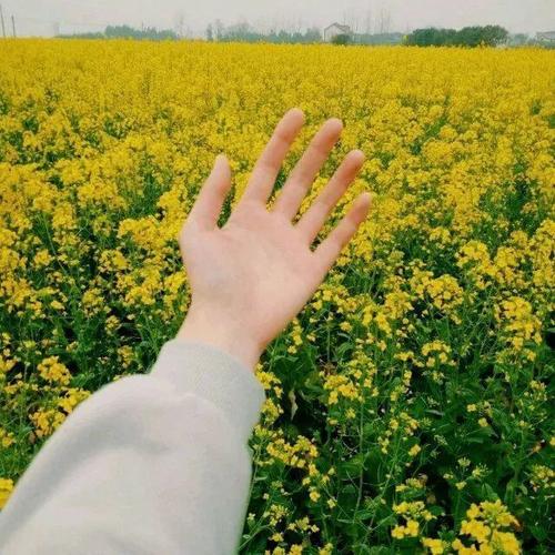 10.山脉是绿色的,美丽的,郊区的游客很放松;衣服又轻又薄,显示出很好的身材。