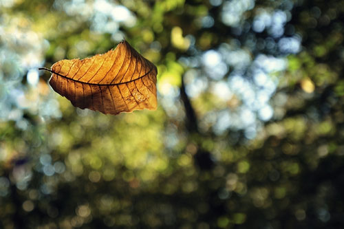 11.当你遇到一个你真正爱的人时，你必须争取有机会与他一生在一起，因为当他离开时，一切都太迟了；当您遇到曾经爱过的人时，请记住微笑并感谢他，因为他曾经使您对爱有所了解。