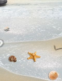 10.面对赞美和奉承，亲情就像一颗锥子，刺穿您的空虚梦想，然后不断进步。这是一个警告；