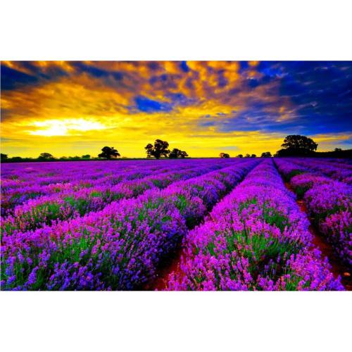 11.面对麻烦和悲伤，亲情是微风，吹散了您凌乱的思想，然后平静地解除了这种状态。