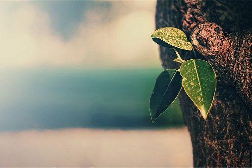 12.无休止的等待，直到心碎的那一天，您终于明白，等待与人无关。是谁让你等待的？不是您如此痴迷的人，而是您自己的幻想和固执的固执。