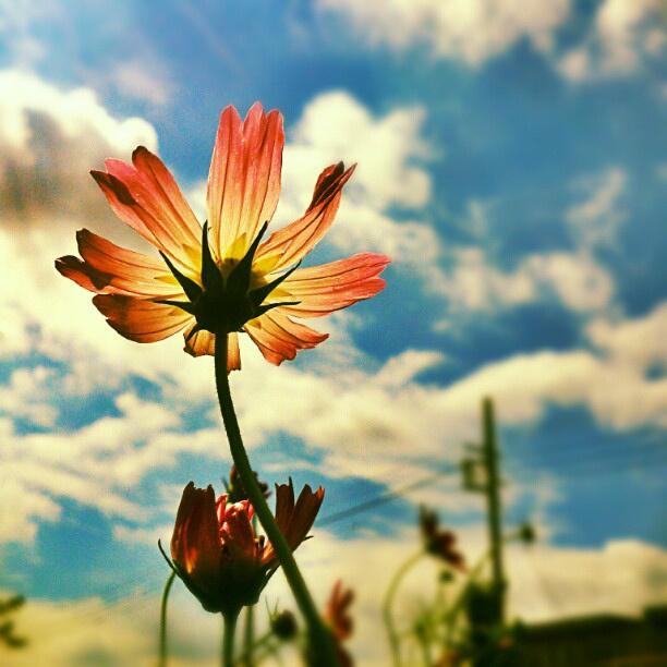 10.母亲Mother了一匙汤，将其吹入嘴中，然后用嘴s了一下。天气真的不热，然后小心地喂给她的祖母。