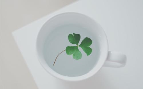 10.剪下一片春光，让生活变得丰富多彩；采摘一朵春天的花朵，使幸福变得异常惊人。听春天的春天，让美丽在心中传播；播出祝福，让春天快乐；祝您心中有新春，万事如意！