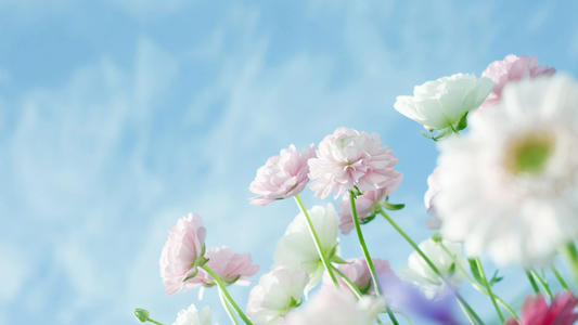 11.绿草发芽，使内心的呵护倍增；美丽的花朵使友谊更加美好。蝴蝶飞翔，快乐而进取；春天喝醉了，美丽的祝福得以传递。愿您的微笑恰恰甜美幸福！