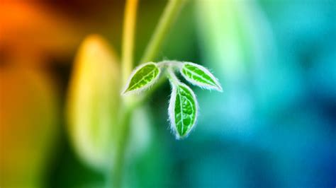 12.在漫长的历史长河中，有一颗恒久闪烁的星星，那就是家人的感情。当我们感到困惑时，我们总是仰望它。人的嘴唇可以说的最甜美的词是感情。