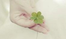 扎心亲情经典语录短句子