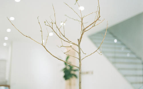 10.漆黑的夜晚使寂寞变得更深，寂寞在漆黑的夜晚升华，绽放并演绎出黑色的美丽而没有星星的夜晚，我没想到看到一缕光，所以我选择闭上眼睛！