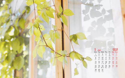 11.我哈哈那是幸福的