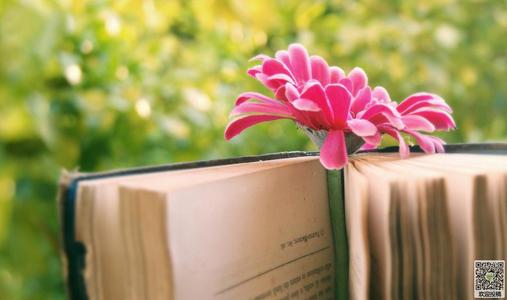 亲情是最清晰的路标，指导我们成功实现目标