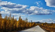 亲情经典句子说说心情