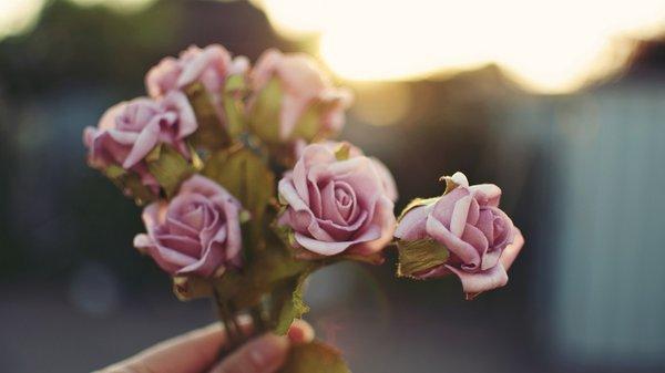 11.因为我了解爱，所以我宽容。因为我彼此认识，所以我很珍惜。爱是美好的。由于相互依存，家庭感情温柔。人生有很多美，但我们一直在想念它。这些年来沉香木很多，但我们不知道如何收集。