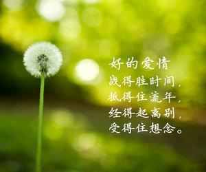 一生美丽的句子