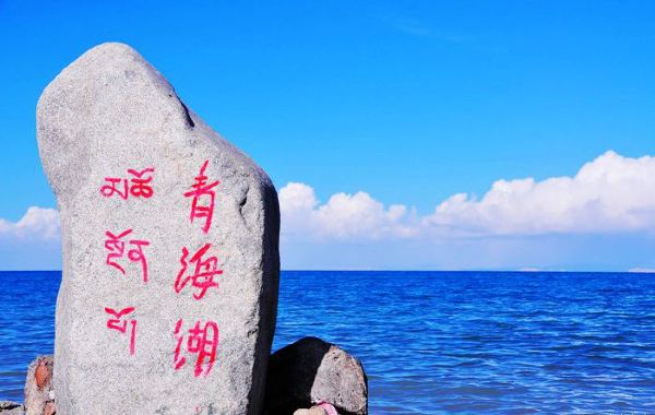 关于莲花的漂亮句子