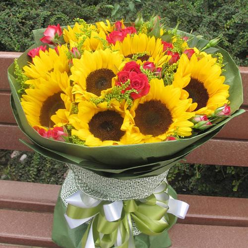 11.天上的一场比赛，栾和冯鹤鸣。