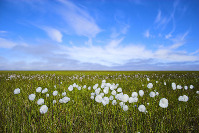12.顾名思义，家庭感情就是亲人的感情。作为社会上的人们，人们首先并经常与自己的亲生父母，兄弟姐妹姐妹接触。血液比水浓稠的情感构成了我们丰富多彩的生活，并维护了这个社会的生存和发展。