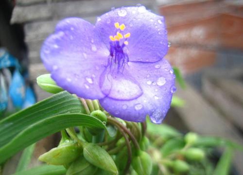 10.幸福，你就像我的影子，多少春，夏，秋，冬陪伴着我。幸福，无处不在，整个世界充满了呼吸。