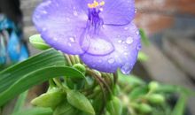 描写开心时神态的句子 脸部开心神态描写