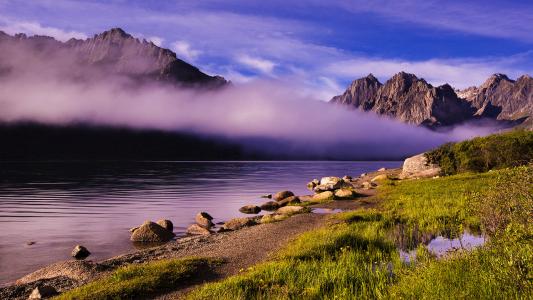 12.总会有片刻让你突然放弃，总有一些态度会让你突然难过，总有一些词会让你突然酸痛，总有一些事情会让你粗心。及时的人，清晰地看到了一颗心。尽管生活并不轻松，但是您仍然必须面带微笑，因为有一天，您内心深处的伤口一定会开花结果。