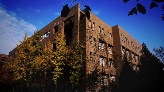 10.青年不是时间，而是精神状态；青春不是一张脸，红红的嘴唇和柔软的膝盖，而是深deep的意志，宏伟的想象力和热烈的爱情。