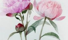 有关亲情的哲理句子大全