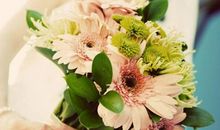 寸草春晖的亲情优美句子