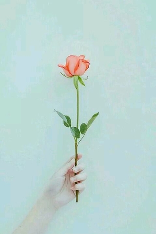 12.家是港口。如果您走的很远，您将自然返回。您居住的港口。家是一种依靠。当您累了时，您将躺下并沉入柔软的床中，并深深地喝醉。家是人类永恒的栖息地。