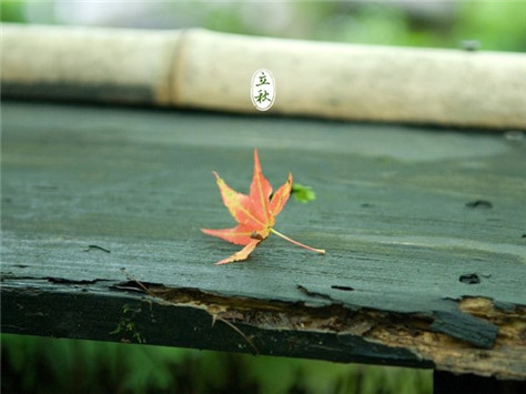 10.我学会了吞下很长一段文字和所有的情感，只用um来表达我的所有想法。