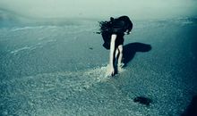 对爱的人特别失望的句子