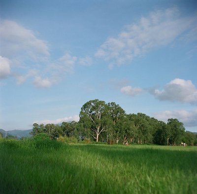 9.当周末到来时，幸福必须“冒泡”以使麻烦和愤怒消亡；快乐必须“开放”，使悲伤变得微弱。笑容必须具有“压倒性”才能使人沮丧和悲伤。祝福必须“有力”，并使周末“美丽””；嘿，你头晕吗？
