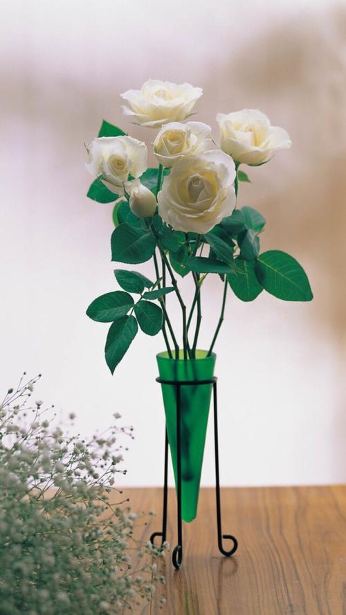 11.姐妹节到了，发短信祝愿深情的姐妹们：愿好运刚刚开始，没有麻烦，心中有幸福，爱尝甜，幸福永无止境。