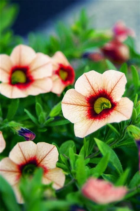 10.我会牢牢记住我今天所说的话，我一定会辜负你这一生，这足以让你拥有这一生！