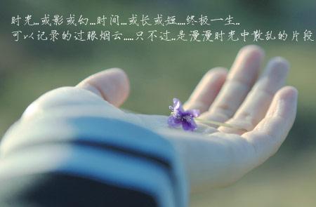 关于命运的句子