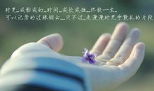 有关缘分的句子