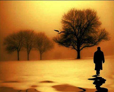 关于生活真相的审美句子2