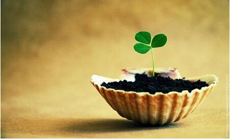 吉群大师的幸福第20章禅语（2）