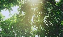 社会经典说亲情的句子