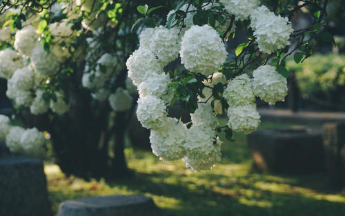 10.收到入场通知书后，我看起来像是一位经历了长期干旱和雨水的农夫，就像一个渔夫看着雾海中的灯塔，我感到非常高兴，我真的不知道怎么形容！