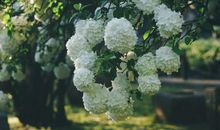 形容自己很开心的搞笑句子