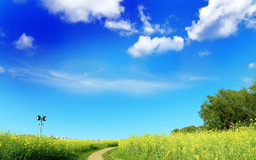 11.不喝酒，对胃有害，不抽烟，对肺有害，不熬夜，对健康有害，不考虑他，对心脏有害。