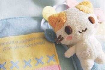 12.清晨，我背着书包，快乐地走向学校。阳光普照，松柏树翠绿，鸟儿在树上不断哭泣。我跳来跳去，闻了一阵花香，摸了一阵叶子。您知道，在这次大考中，我的中文，数学和外语平均分数高于96。“三好”学生当然就是我！我仔细想想。他笑了。